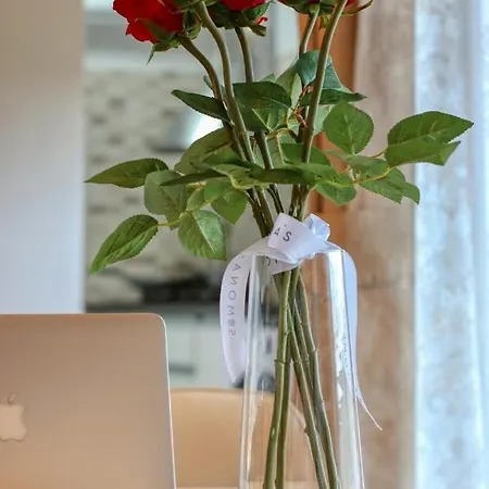 Refugiu Linistit In Baneasa * בוקרשט