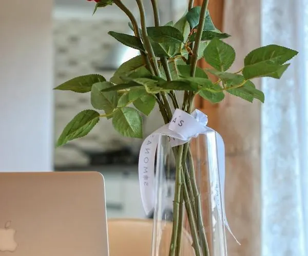 Refugiu Linistit In Baneasa * Бухарест