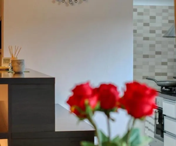 Refugiu Linistit In Baneasa Appartement